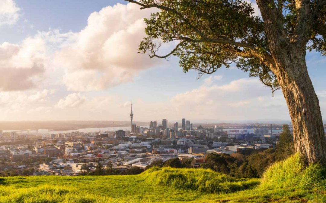 How to Make this Year THE Year You Move to New Zealand